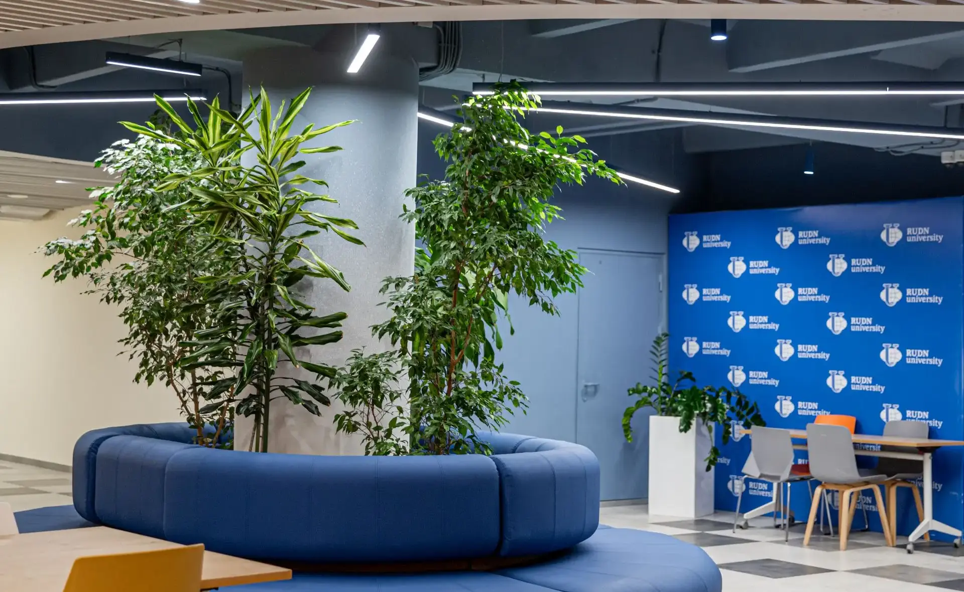 Результаты первой проверки ОММО-2026 в РУДН